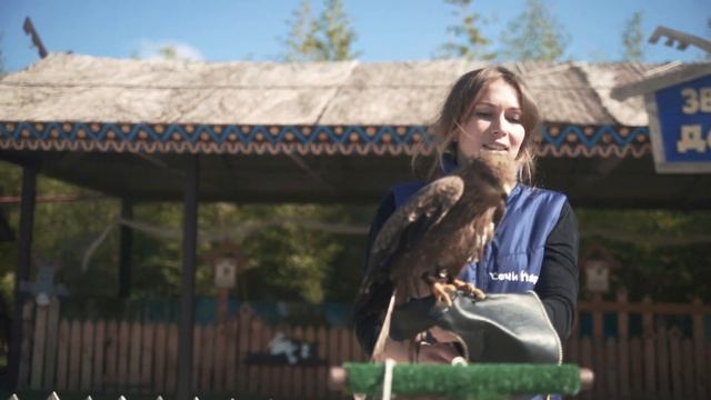 Утро в Совариуме Сочи Парка смотреть онлайн