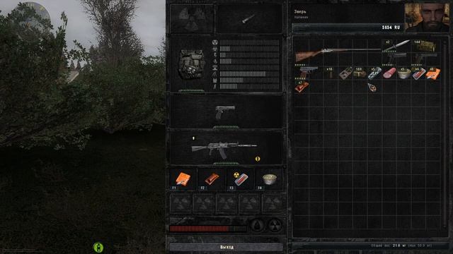 S T A L K E R Пространственная аномалия + ганслингер. смотреть онлайн