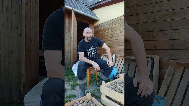 Взрослые развлечения смотреть онлайн