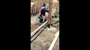 Эксклюзив Соседские разборки полный/Кто построил забор? Что, где, когда/Война соседей/ Трешь соседи