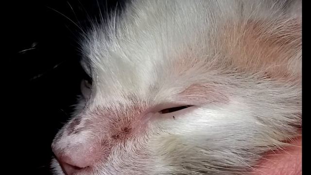 Энергетическое путешествие в сердце Вселенной