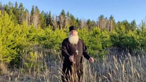 Гость  Рассказы сельского батюшки