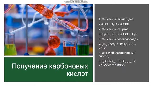 10 класс. Карбоновые кислоты смотреть онлайн