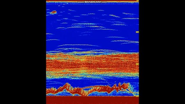 Трофейный сом(61кг) на эхолоте Garmin Echomap Chirp 94 sv, Запись эхолота. смотреть онлайн