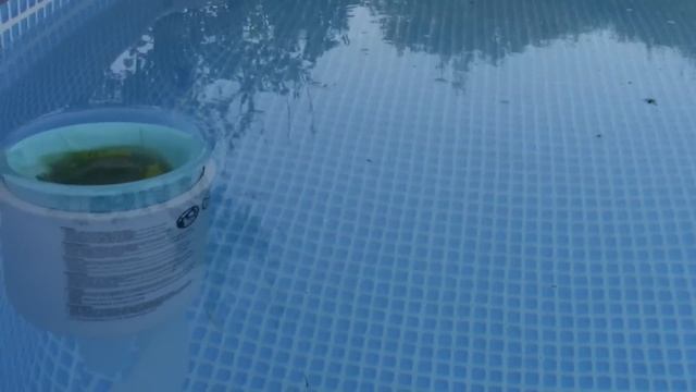 СКИММЕР INTEX-нужная вещь или деньги на ветер ? смотреть онлайн