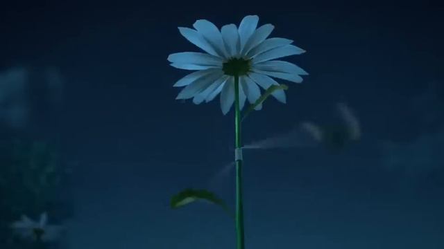 Magia Extraña Pelicula Completa