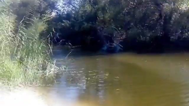 аэролодка из паромотора смотреть онлайн