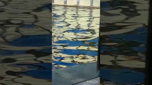 Я в зоопарке