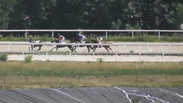 9.08.2020 - 6 Скачка на лошадях 3-х лет и старше арабской породы - Нирион Терск смотреть онлайн