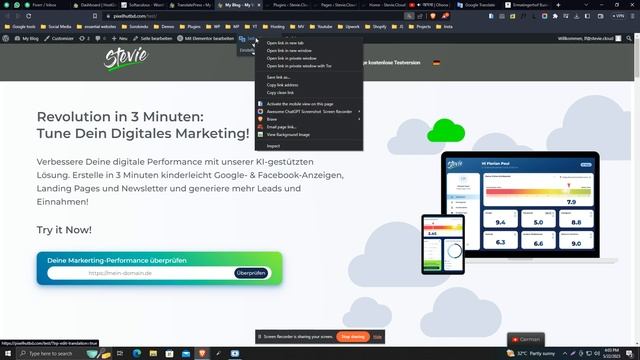 How translate with Translatepress Plugin смотреть онлайн