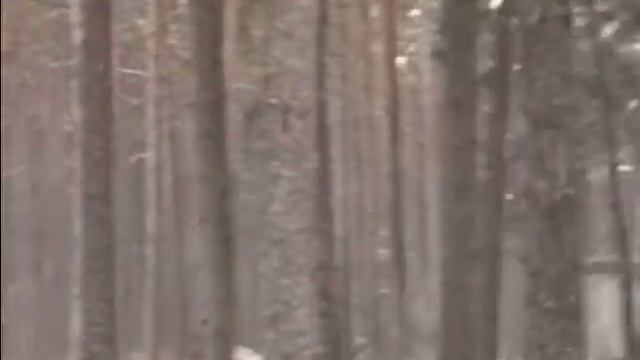 Моя прогулка по ТОК Нарочь смотреть онлайн