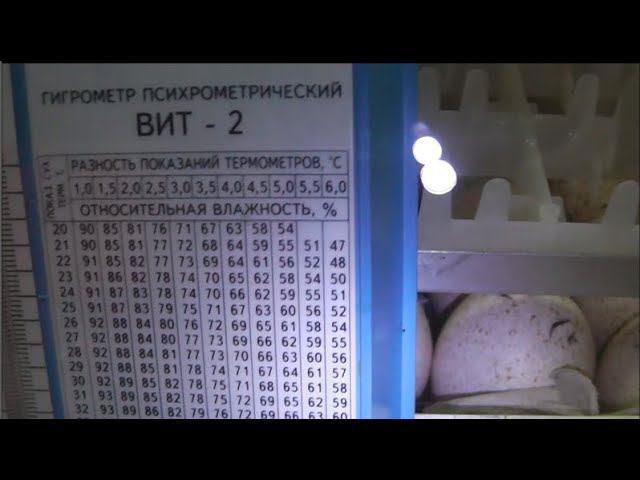 КАК ОТКАЛИБРОВАТЬ ВЛАЖНОСТЬ В ИНКУБАТОРЕ | ВИТ2 психрометрический гигрометр смотреть онлайн