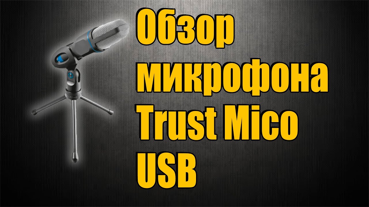Микрофон Trust Mico USB черный