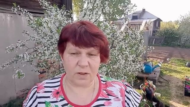 Подвязка ТОМАТОВ Просто и Быстро ?? Способ для Ленивых ?ВИШНЯ - наша Красавица правильно ухаживаем? смотреть онлайн