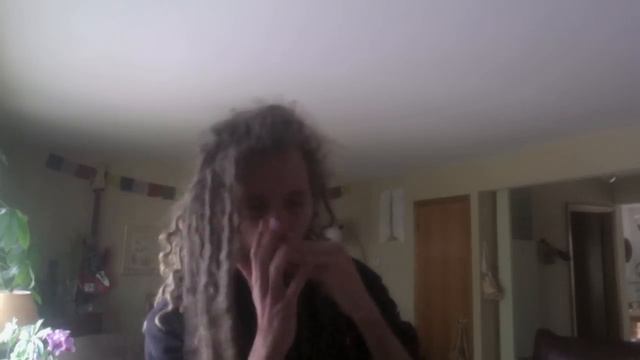 Improve Harmonica jam in the Dorian Mode смотреть онлайн