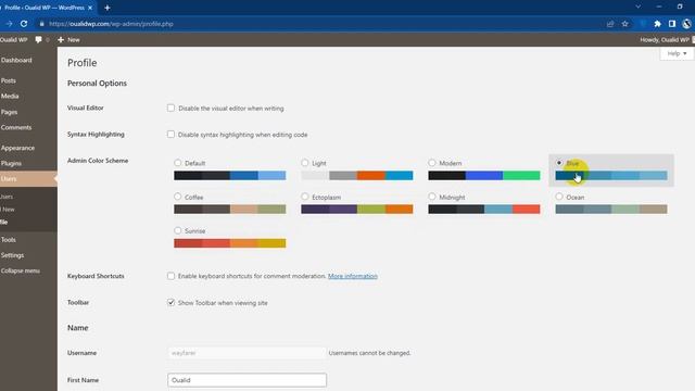 Change WordPress Admin Menu Color смотреть онлайн