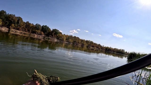 Сом на джиг. Лещ на макуху. Чехонь. Карась. Сазан. И даже Яяяяязь. Пошла рыбалка! смотреть онлайн