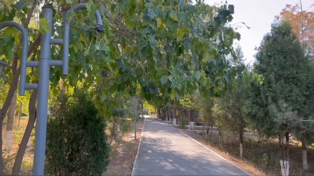 Город Навои / Navoi City