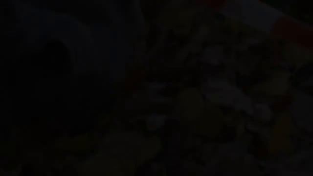 Amatue / Валерия Лукьянова - Порталы Вселенной (video) смотреть онлайн