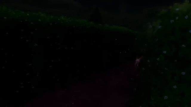 Monster Maze VR - Gameplay Trailer [VR, HTC Vive]