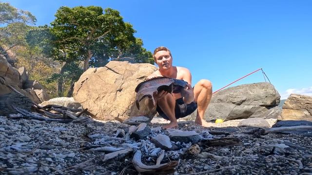 Hand Spearing to Survive! Catch And Cook смотреть онлайн