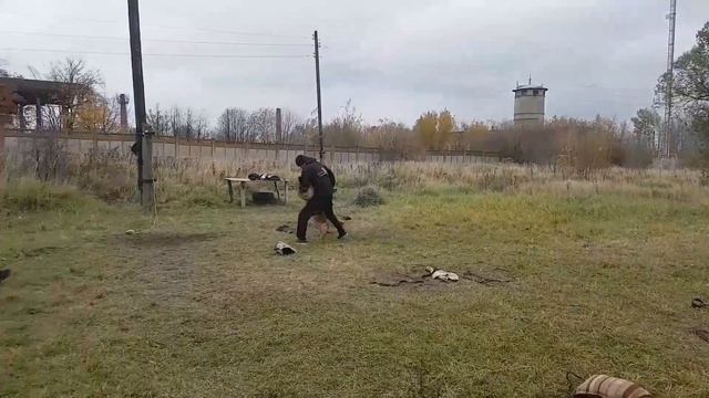 Работа на задержание. смотреть онлайн