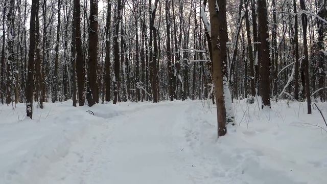 Заподозрив мужа в измене и, найдя кольцо, которое он спрятал для другой, жена решила проследить.. смотреть онлайн