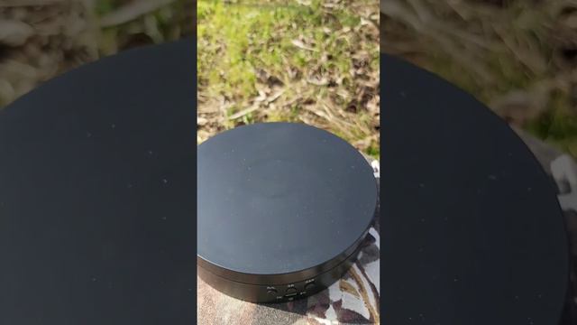 Обзор пара Чижиков 🐦🐦🐦 #крутыептички 🤘🤘🤘 смотреть онлайн