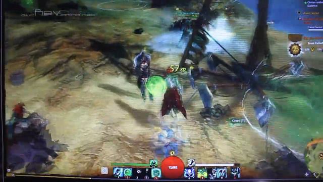 Guild Wars 2 - Sylvari Necromancer Gameplay смотреть онлайн