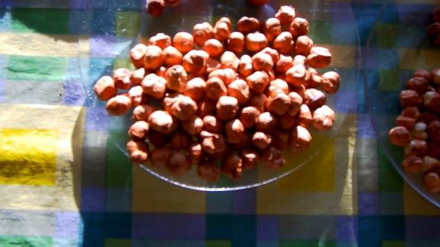 Фундук. Выход ядра. 6 сортов. 27.12.20 смотреть онлайн