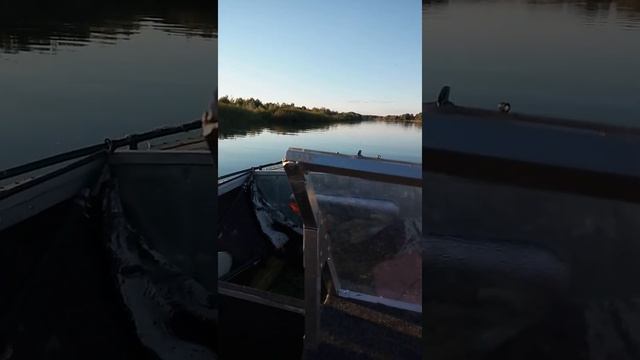 Evirude 35 + Прогресс 3М смотреть онлайн