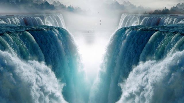 Træer er lavet af luft: populær biologi på 33 sprog, DANSK med undertekster смотреть онлайн