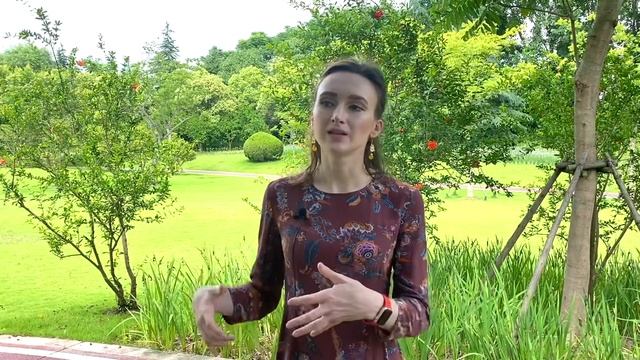 Почему вам не нужен русский учитель китайского языка? смотреть онлайн