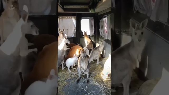 это не шутки смотреть онлайн
