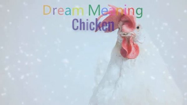What Does It Mean When You Dream About Chicken?