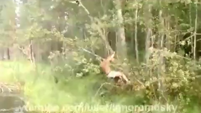 Как мужик кота спасал смотреть онлайн