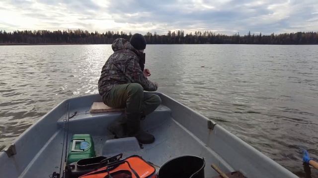 Щука и окунь на осенней рыбалке. Осень 2021 смотреть онлайн