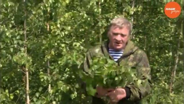 Заготавливаем веники смотреть онлайн