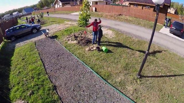 Видео с праздника посадки деревьев в посёлке Вяземские сады смотреть онлайн