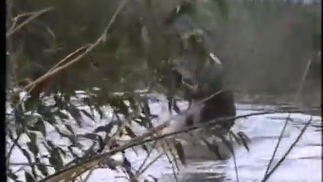 группа Контингент А у разведчика судьба порой.mp4 смотреть онлайн