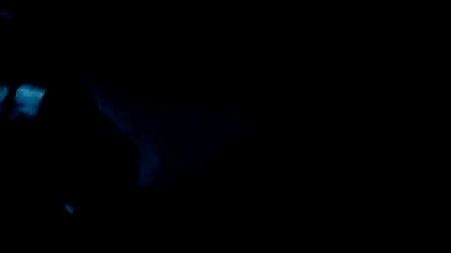 Куда нельзя лазить-Часть 2 смотреть онлайн