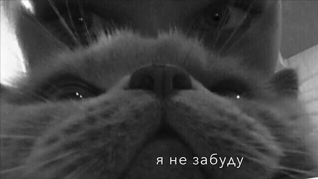 Ты не смотри мне в глаза, моя милая Я же не готов в тебя влюбиться смотреть онлайн