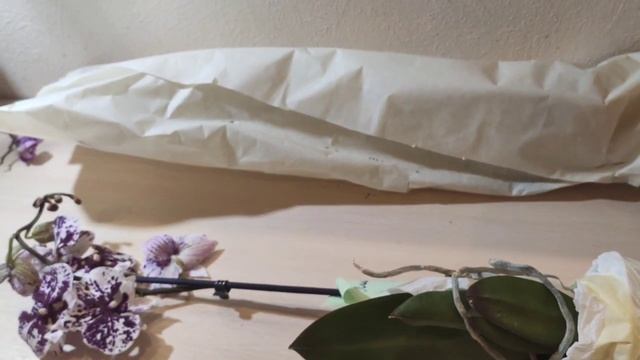 #Орхидея_шоколад ОрхоШоколадное настроение))) смотреть онлайн