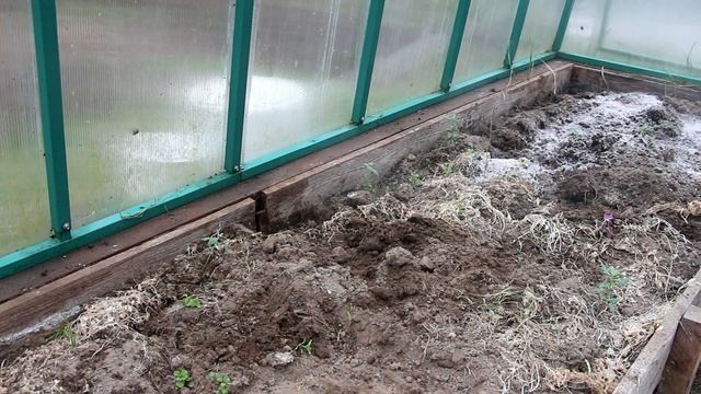 Сотовый поликарбонат ГРИНХАУС-НАНО. Выращивание томатов (часть1, высадка рассады) смотреть онлайн