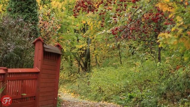 Обзор объектива Canon EF 50mm f 1 2L USM смотреть онлайн