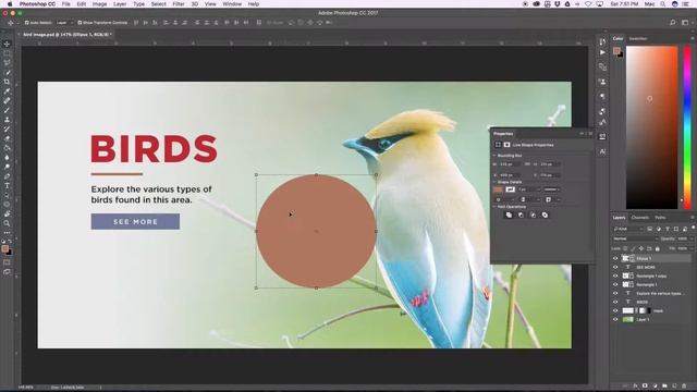50 PHOTOSHOP KEYBOARD SHORTCUTS YOU NEED TO KNOW смотреть онлайн