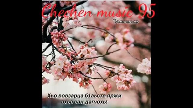 Очень красивый песни чеченские 😍😍 смотреть онлайн