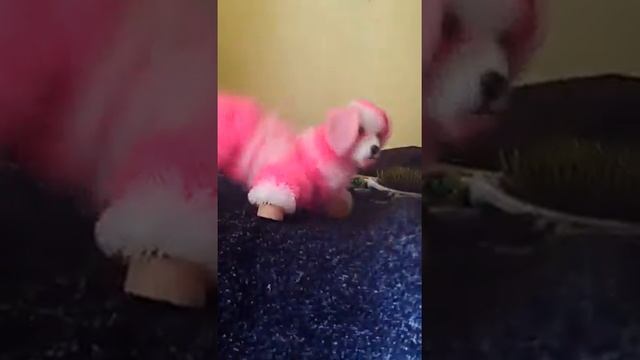 Bounce and Break Yo back!!!! смотреть онлайн
