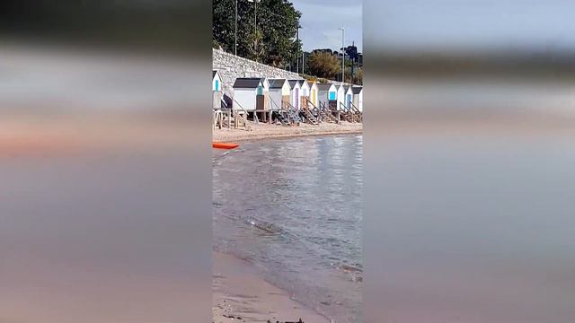 АТЛАНТИЧЕСКОЕ ПОБЕРЕЖЬЕ АНГЛИИ. English Riviera Torquay. Torre Abbey Sands Beach. смотреть онлайн