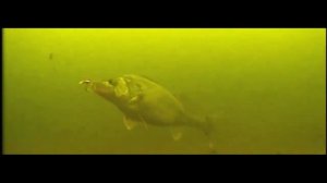 Как ловить судака? СЪЕМКИ ПОДВОДНОЙ КАМЕРОЙ.  Рыбалка на судака 2018